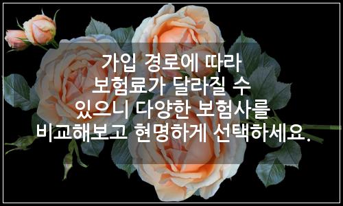 오늘의 이미지