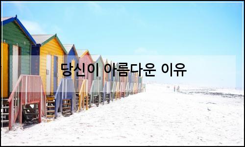 오늘의 이미지