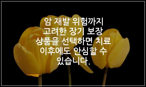 오늘의 이미지