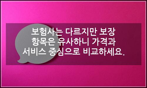 오늘의 이미지