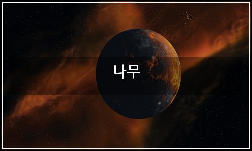 오늘의 이미지