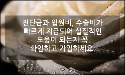 오늘의 이미지