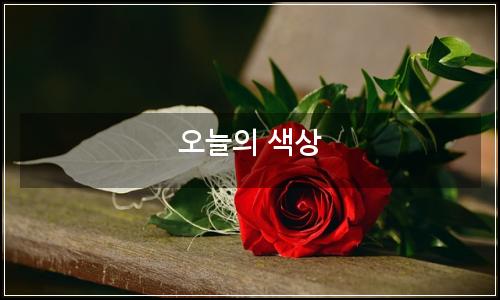 오늘의 이미지