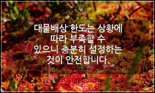 오늘의 이미지