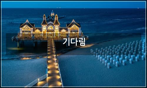 오늘의 이미지
