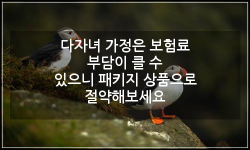 오늘의 이미지