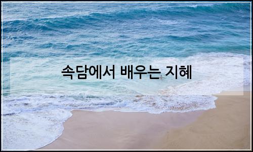 오늘의 이미지