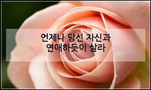 오늘의 이미지