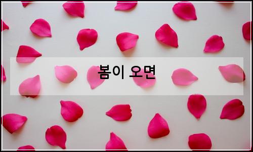 오늘의 이미지