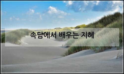 오늘의 이미지