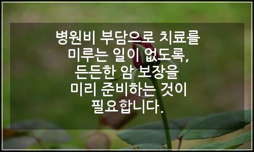 오늘의 이미지