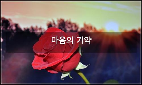 오늘의 이미지