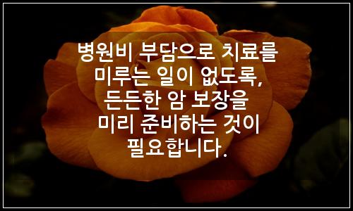 오늘의 이미지