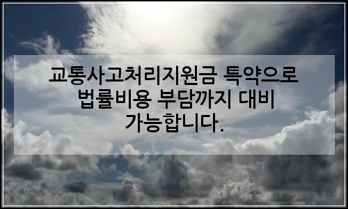 오늘의 이미지