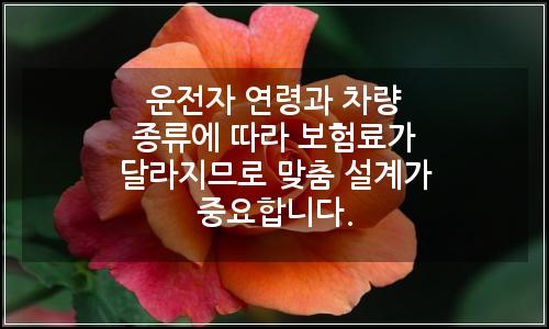 오늘의 이미지