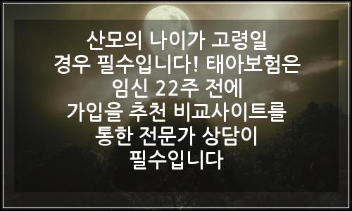 오늘의 이미지