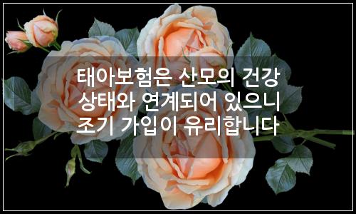 오늘의 이미지