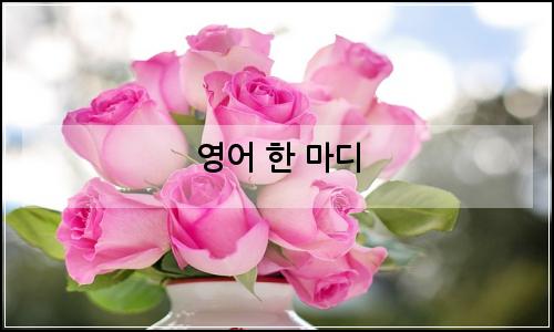 오늘의 이미지