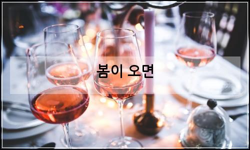 오늘의 이미지