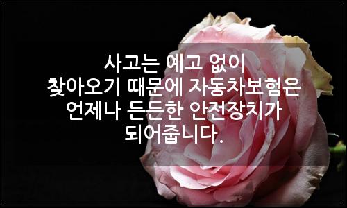 오늘의 이미지