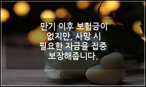 오늘의 이미지