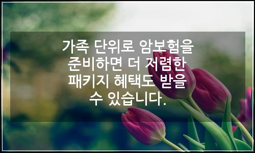 오늘의 이미지
