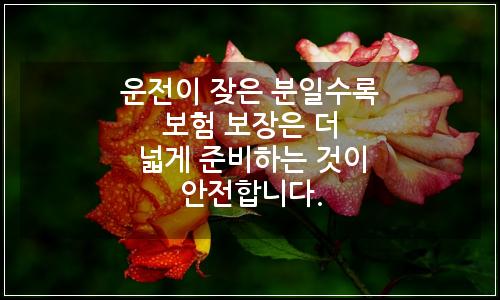 오늘의 이미지