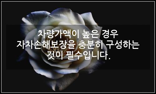 오늘의 이미지