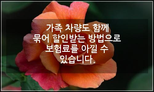 오늘의 이미지