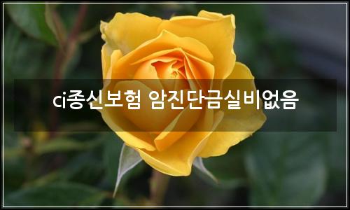 오늘의 이미지