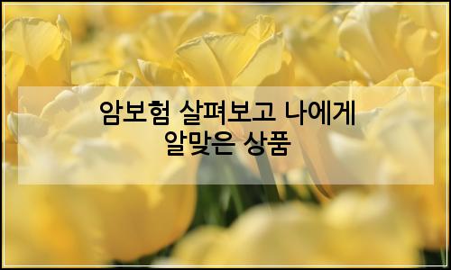 오늘의 이미지