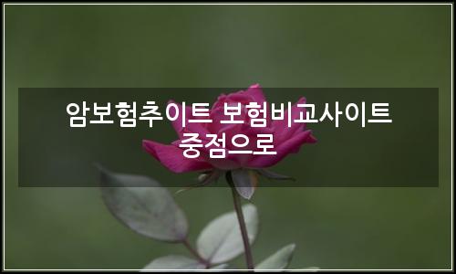 오늘의 이미지