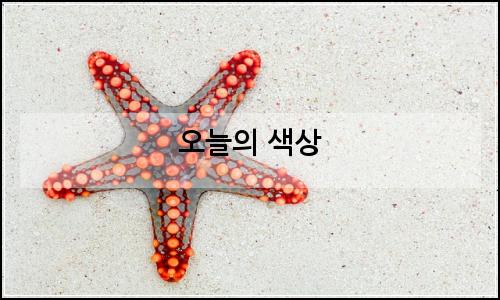오늘의 이미지