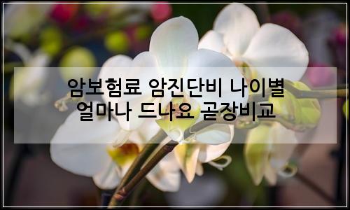 오늘의 이미지