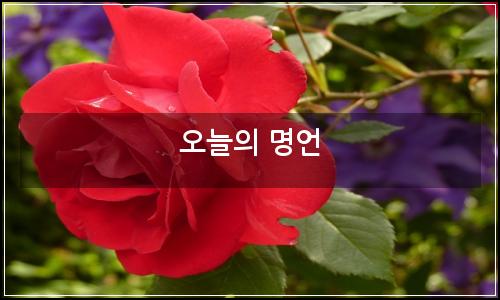 오늘의 이미지