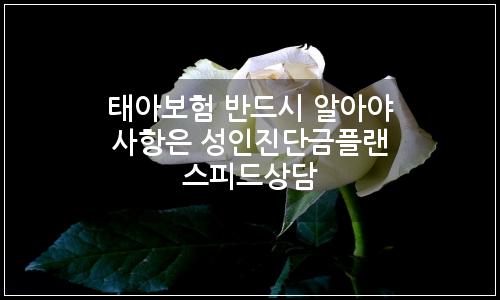 오늘의 이미지