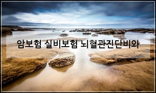 오늘의 이미지
