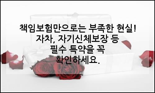 오늘의 이미지