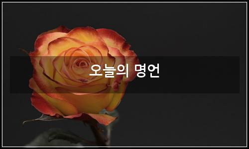 오늘의 이미지