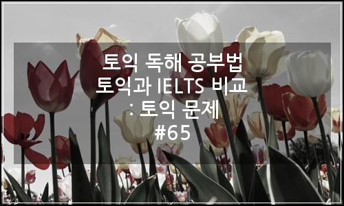 오늘의 이미지
