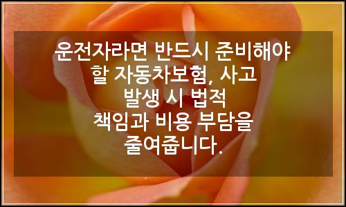 오늘의 이미지
