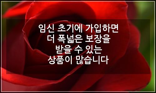 오늘의 이미지