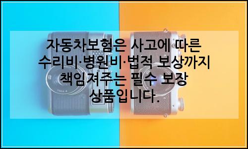 오늘의 이미지