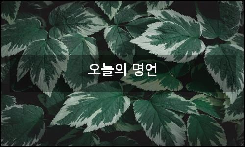 오늘의 이미지