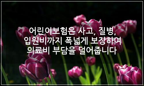 오늘의 이미지