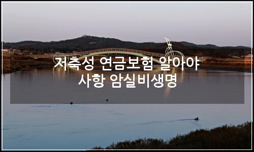 오늘의 이미지