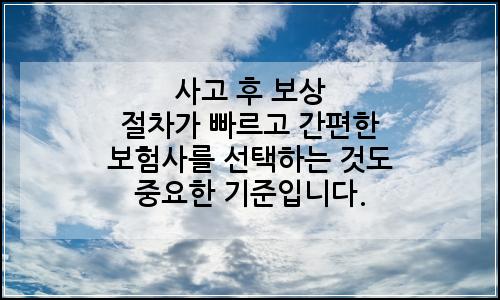 오늘의 이미지