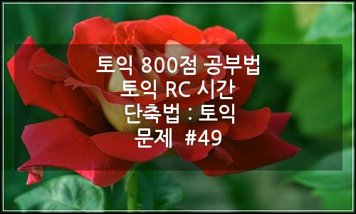 오늘의 이미지