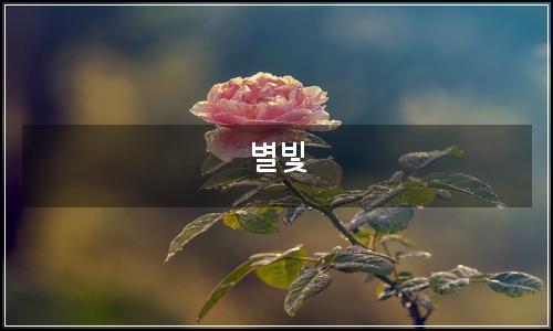 오늘의 이미지
