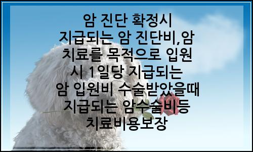오늘의 이미지